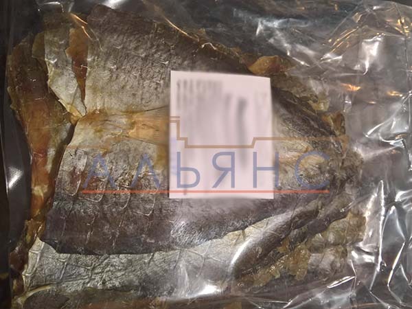 Царский полосатик с перцем в Майкопе