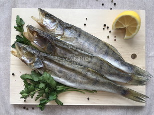 Плотва вяленая: Судак вяленый